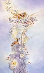 card-6