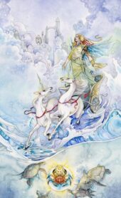 card-17