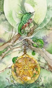 card-75