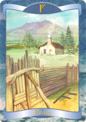 card-24