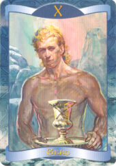 card-6