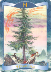 card-23